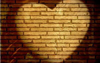 Spotlight on Caregiving